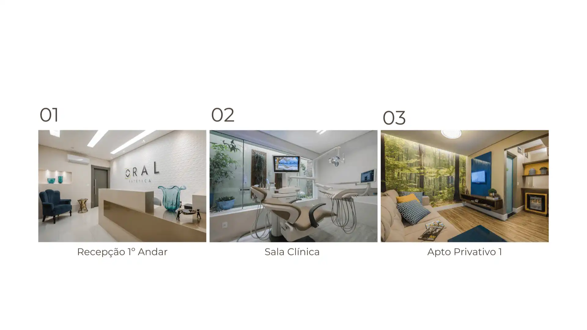 Recepção, Sala Clínica e Apartamento Privativo